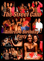 Andrea's Birthday Party (4/28)