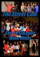 The FN Catalina Wine Mixer (1/19)
